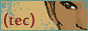 banner2013
