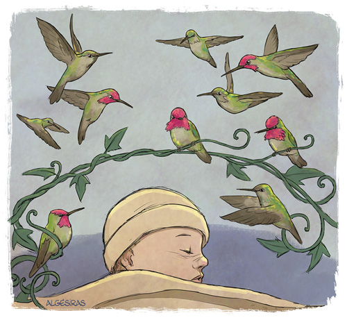 baby and birds